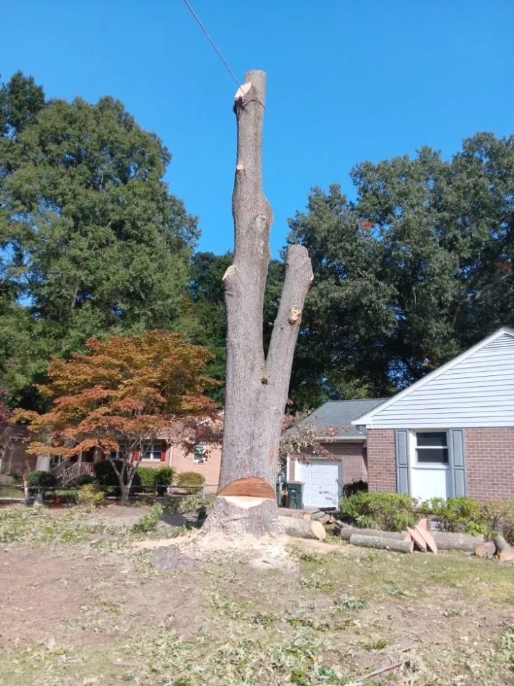 Affordable landscape design with custom design across Portsmouth, VA - Southside Tree Service