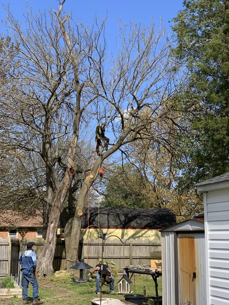 Affordable landscape installation for outdoor upgrades in Portsmouth, VA by Southside Tree Service