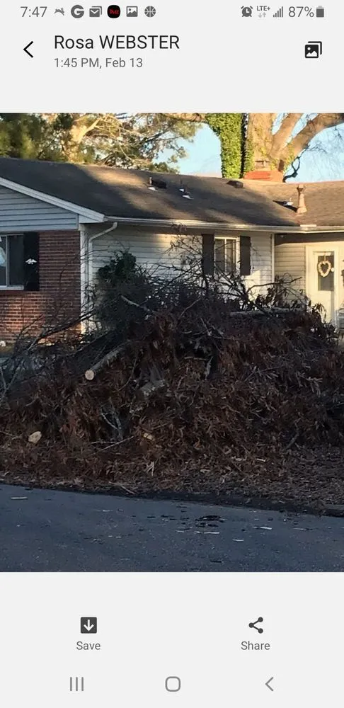 Expert landscape design in Portsmouth, VA - Southside Tree Service