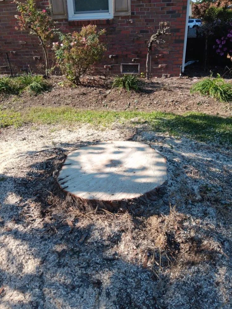 Local garden landscaping with custom design across Portsmouth, VA - Southside Tree Service