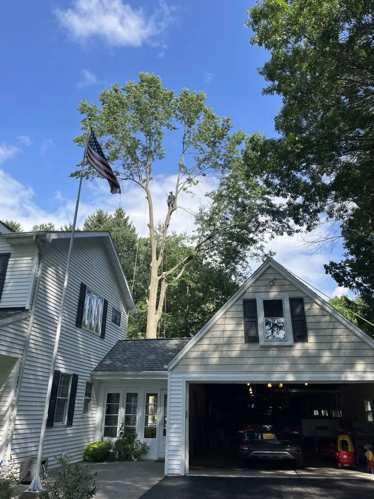 Custom yard maintenance in Lake View, NY - Southtowns Landscaping