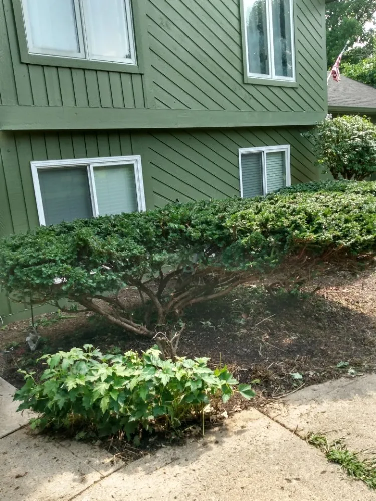 Trusted yard maintenance for homes across Brownsburg, IN - Southward & Sons Landscaping