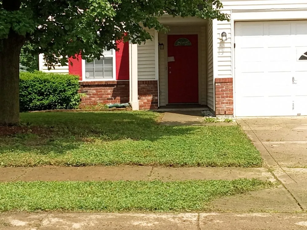 Professional landscaping services for year-round maintenance across Brownsburg, IN - Southward & Sons Landscaping