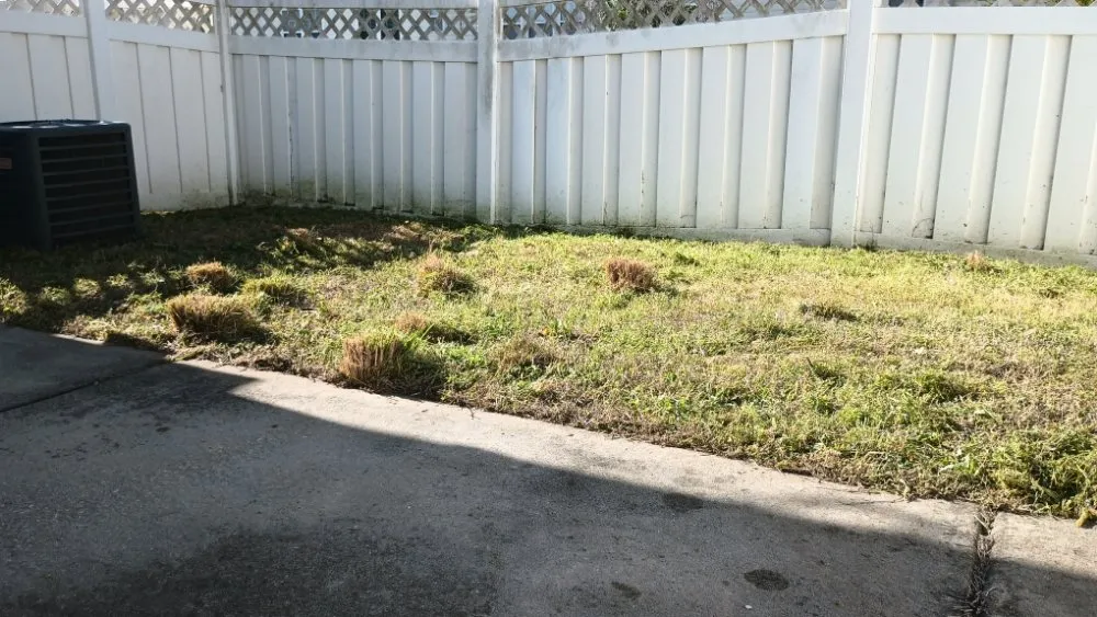 Trusted yard cleanup service in Rock Hill, SC by Southwest Carolina Landscaping