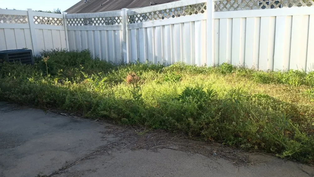 Trusted lawn care service near you in Rock Hill, SC by Southwest Carolina Landscaping