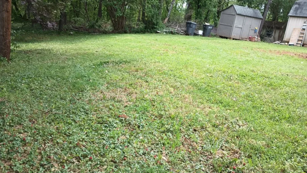 Top-rated outdoor landscaping for year-round maintenance across Rock Hill, SC - Southwest Carolina Landscaping