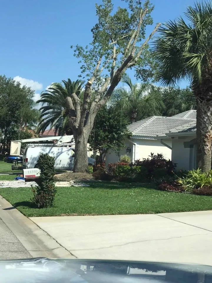 Trusted landscape installation in Lehigh Acres, FL by Southwest Certified Lawn & Landscape