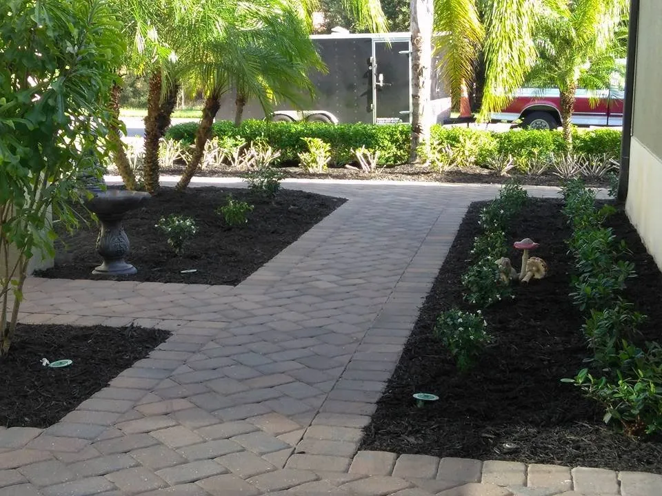Top-rated landscaping services for beautiful yards in Lehigh Acres, FL by Southwest Certified Lawn & Landscape