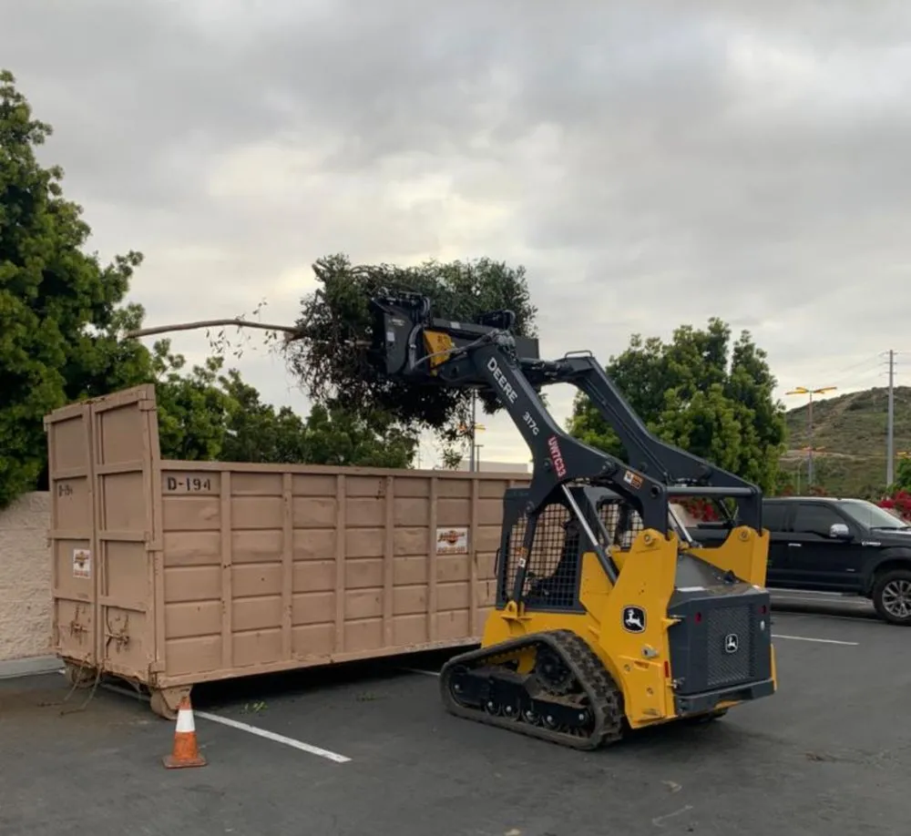 Professional residential landscaping for outdoor upgrades across Chula Vista, CA - SouthWest Environments Landscape Services