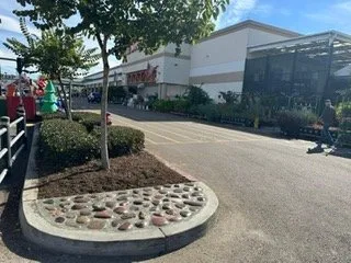 Affordable yard maintenance experts serving Chula Vista, CA - SouthWest Environments Landscape Services