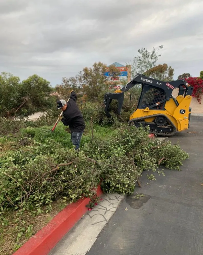 Custom residential landscaping for residential properties in Chula Vista, CA by SouthWest Environments Landscape Services
