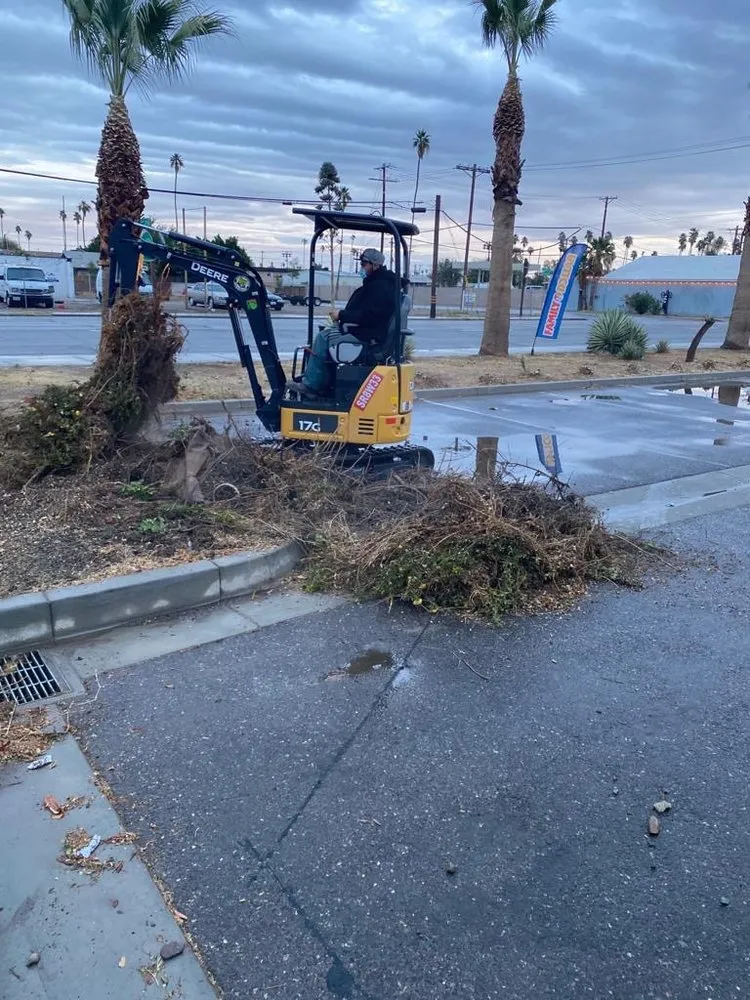 Trusted residential landscaping experts serving Chula Vista, CA - SouthWest Environments Landscape Services