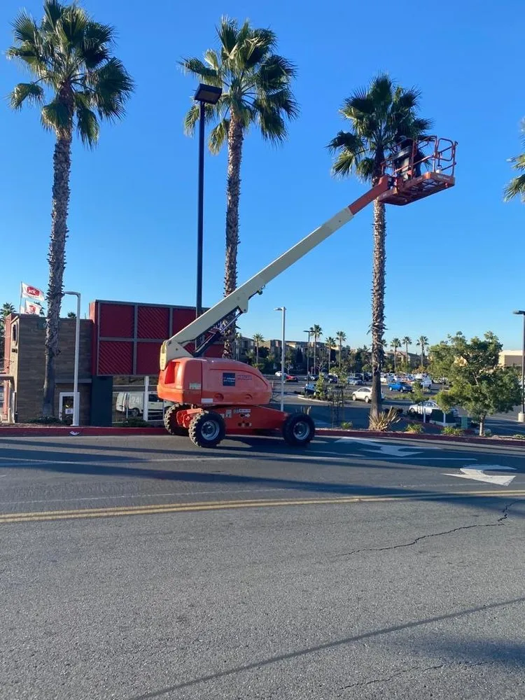 Professional yard maintenance in Chula Vista, CA - SouthWest Environments Landscape Services