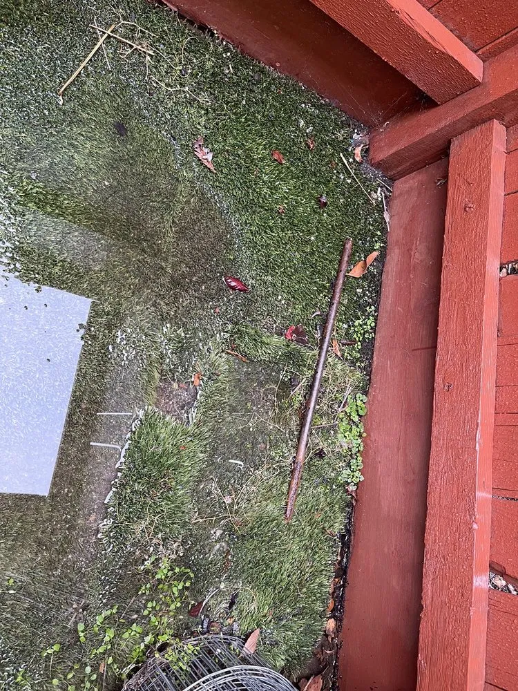 Affordable landscape design for year-round maintenance in Clovis, CA by Southwest Greens Of Fresno