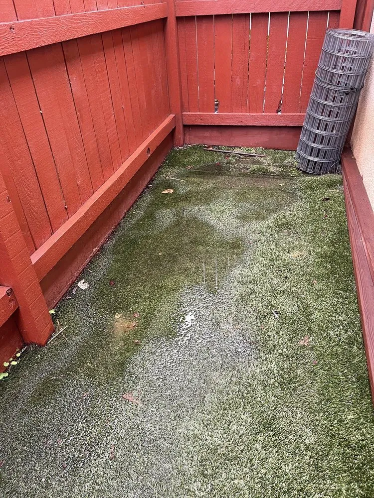 Trusted yard maintenance for outdoor upgrades across Clovis, CA - Southwest Greens Of Fresno