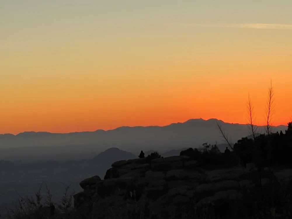 Affordable landscape design for beautiful yards across Tucson, AZ - Southwest Handyman