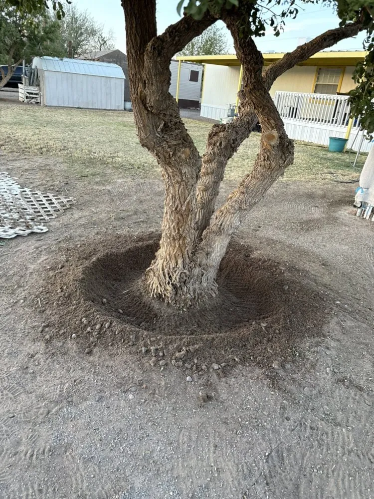 Trusted landscape design with custom design in Las Cruces, NM by Southwest Land and Home Services