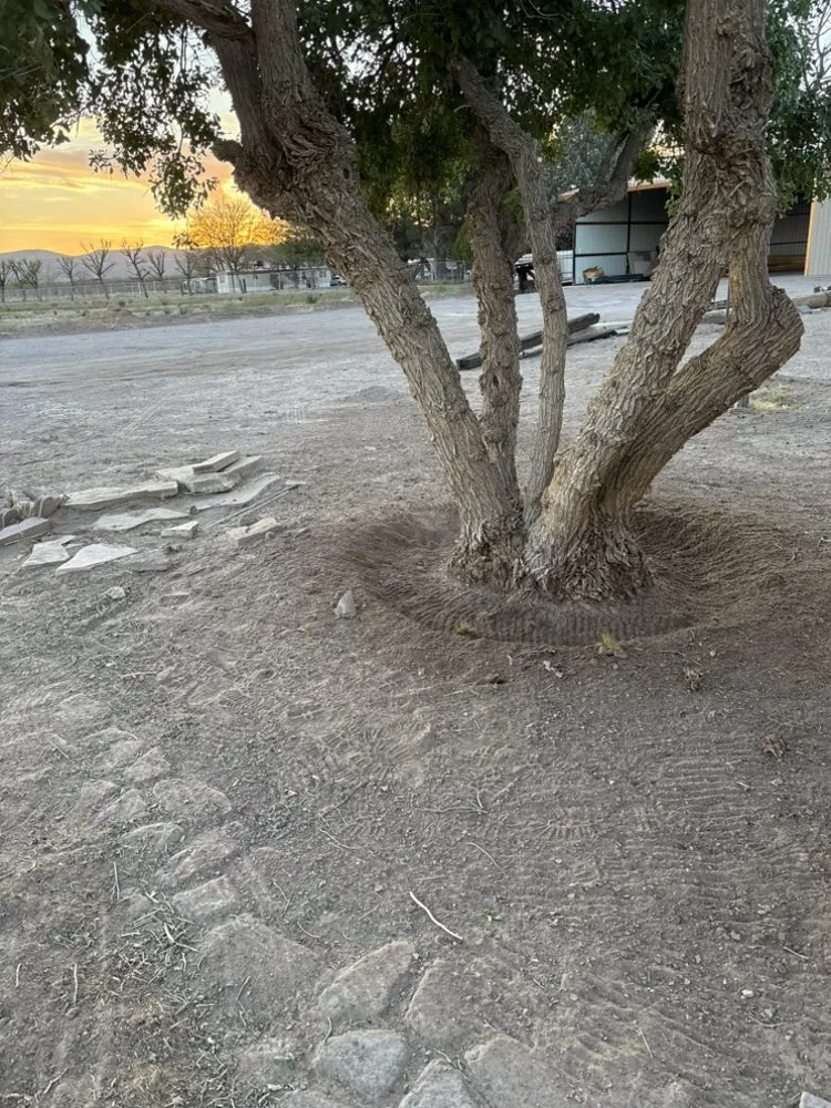 Reliable landscape installation for homes across Las Cruces, NM - Southwest Land and Home Services