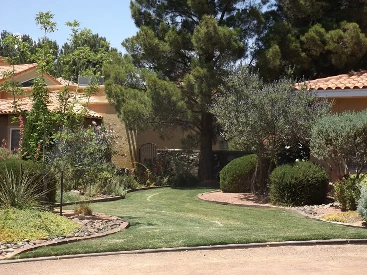 Professional landscape design in El Paso, TX - Southwest Landscape & Sprinkler