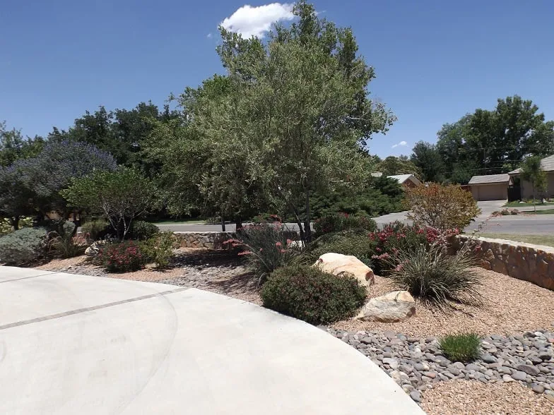 Professional residential landscaping experts serving El Paso, TX - Southwest Landscape & Sprinkler