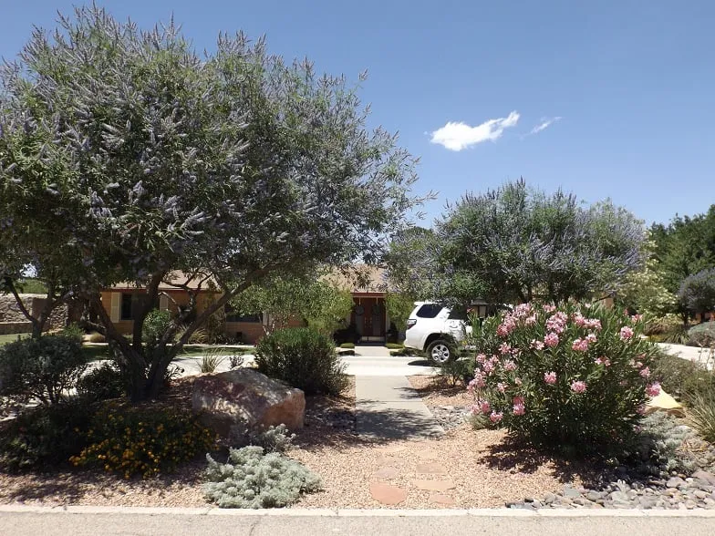 Local landscape installation in El Paso, TX by Southwest Landscape & Sprinkler