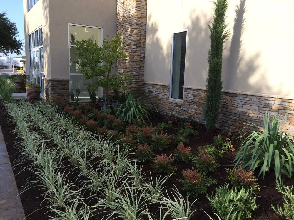 Top-rated landscape installation experts serving Dallas, TX - Southwest Landscape Design