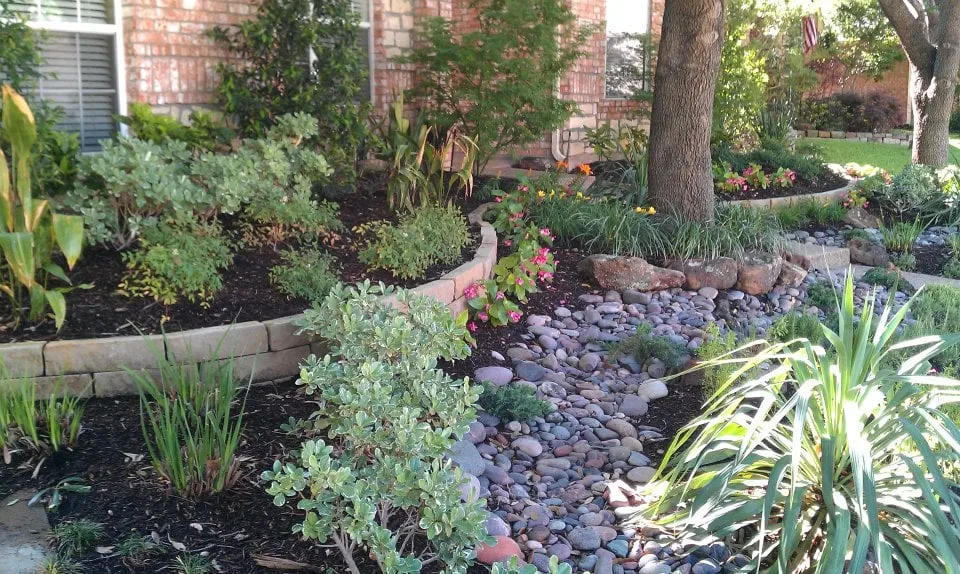 Local yard cleanup service for beautiful yards across Dallas, TX - Southwest Landscape Design