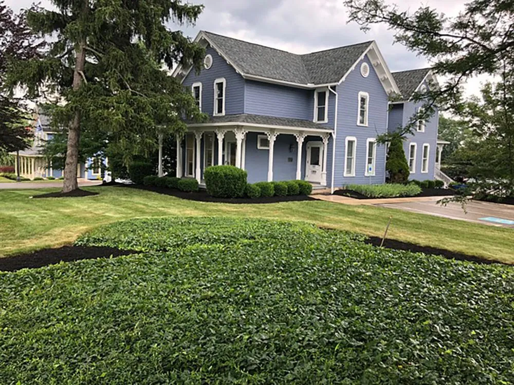 Top-rated landscaping services for beautiful yards across Station, OH - Southwest Landscape Management