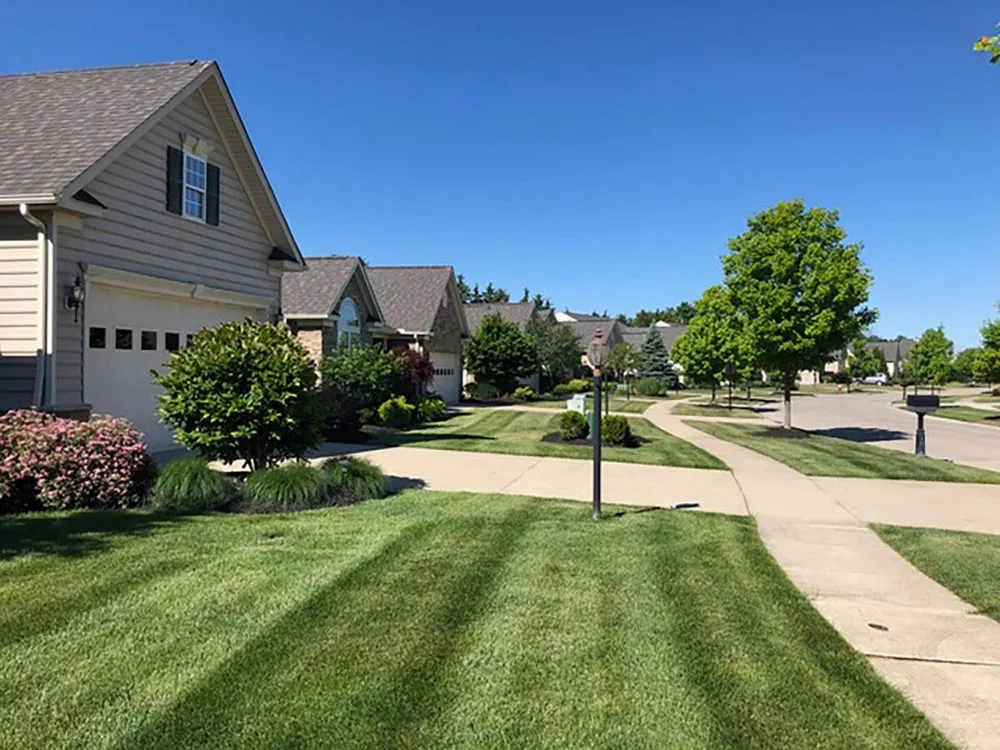Reliable yard maintenance near you in Station, OH by Southwest Landscape Management