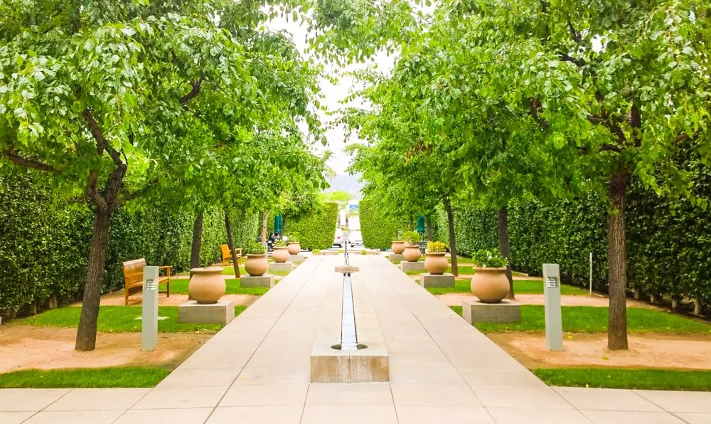 Trusted lawn mowing service experts serving Orange, CA - Southwest Landscape