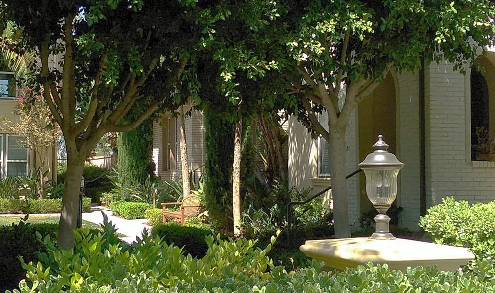 Custom lawn care service experts serving Orange, CA - Southwest Landscape