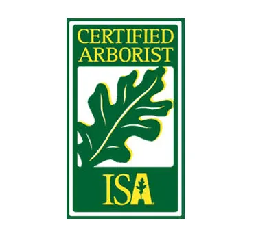 Professional landscape installation for beautiful yards in Orange, CA by Southwest Landscape