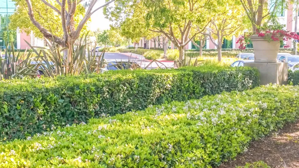 Top-rated landscape installation for outdoor upgrades across Orange, CA - Southwest Landscape