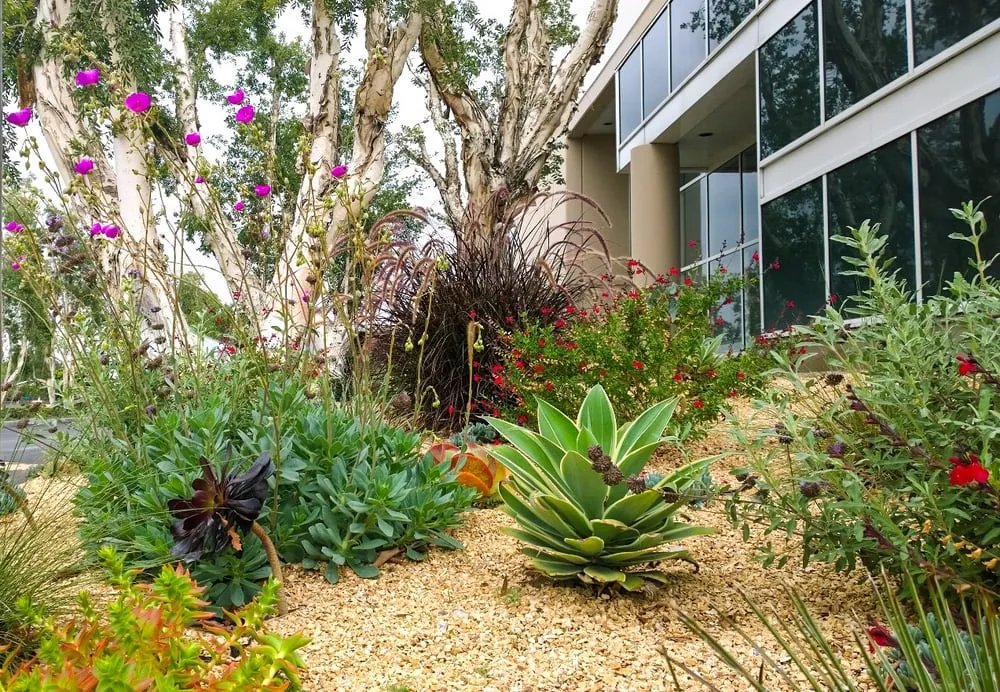 Professional yard maintenance with custom design in Orange, CA by Southwest Landscape