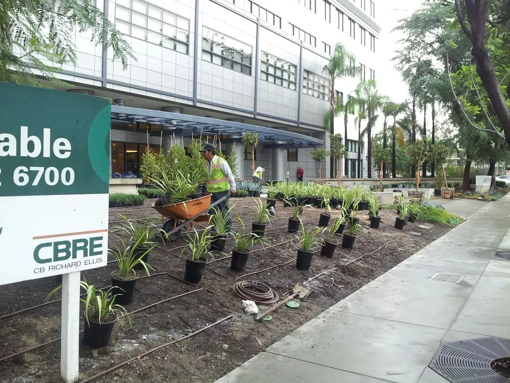 Top-rated landscape design experts serving Orange, CA - Southwest Landscape