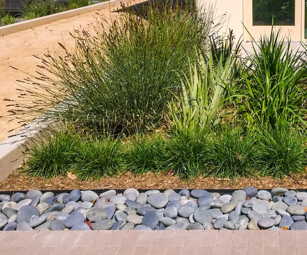 Affordable outdoor landscaping with custom design in Orange, CA by Southwest Landscape