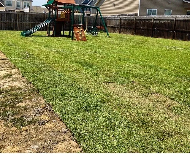 Professional yard cleanup service in Jacksonville, NC by Southwest Landscaping