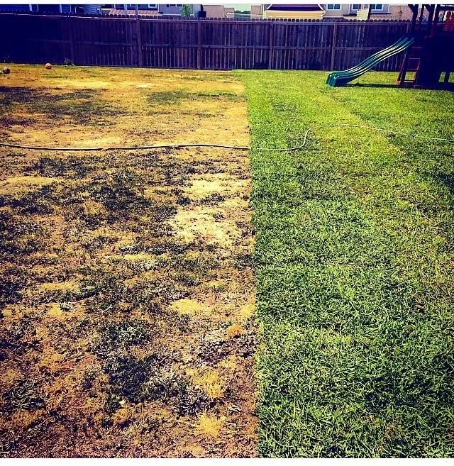 Expert garden landscaping near you across Jacksonville, NC - Southwest Landscaping