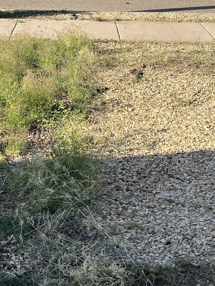 Local lawn mowing service for outdoor upgrades in El Paso, TX by SouthWest Lawn & Garden Pool Services