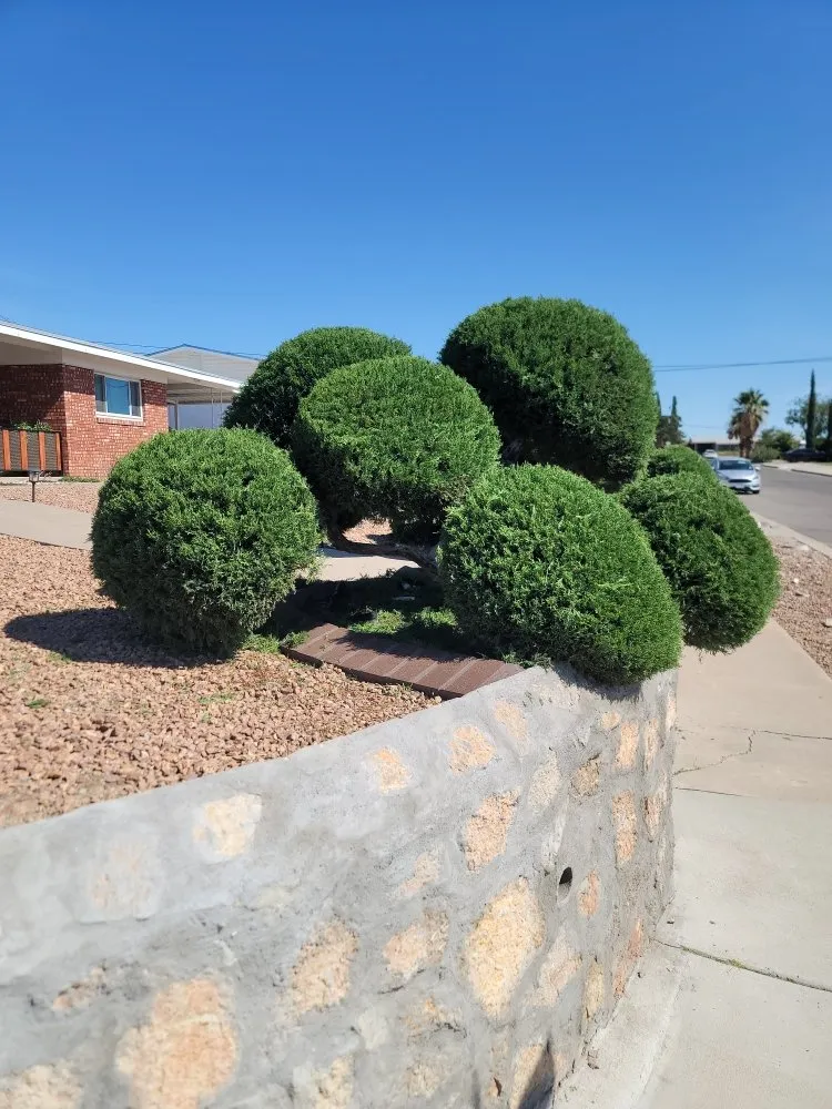 Expert landscape installation experts serving El Paso, TX - SouthWest Lawn & Garden Pool Services