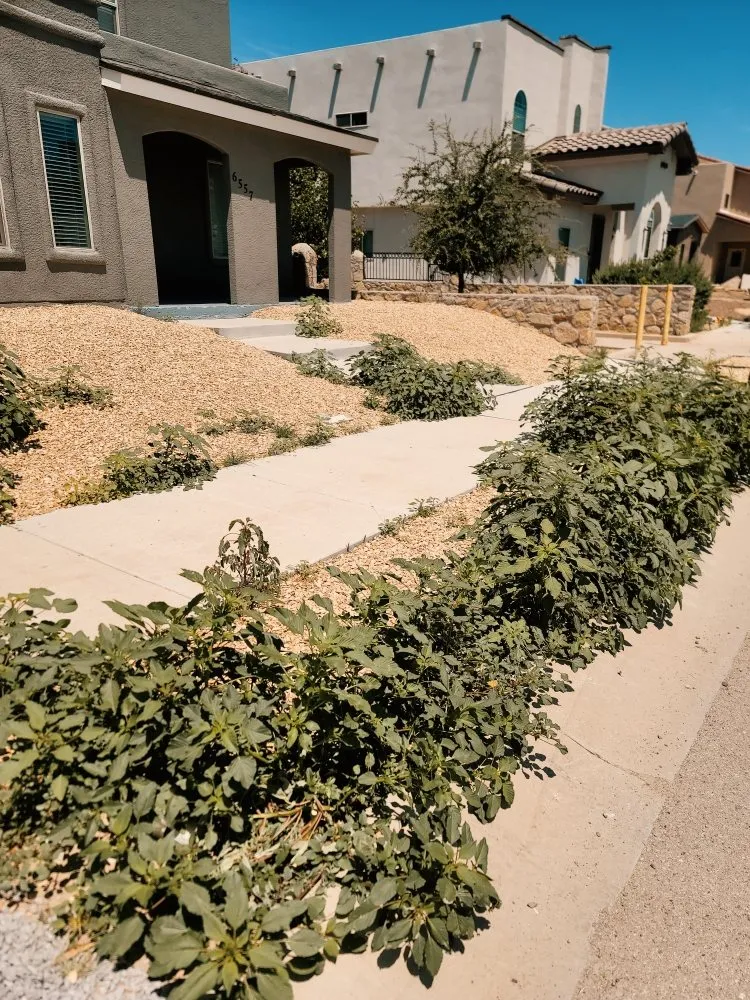 Local garden landscaping experts serving El Paso, TX - SouthWest Lawn & Garden Pool Services