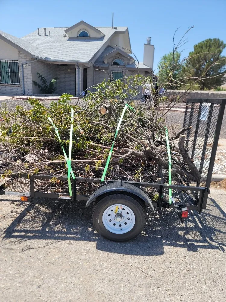 Professional residential landscaping in El Paso, TX - SouthWest Lawn & Garden Pool Services