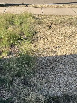 SouthWest Lawn & Garden Pool Services Logo