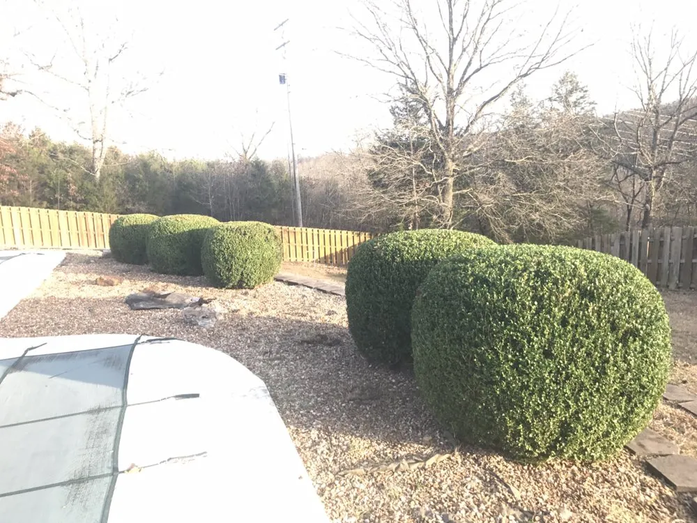 Affordable yard cleanup service in Branson, MO by Southwest Lawn Care