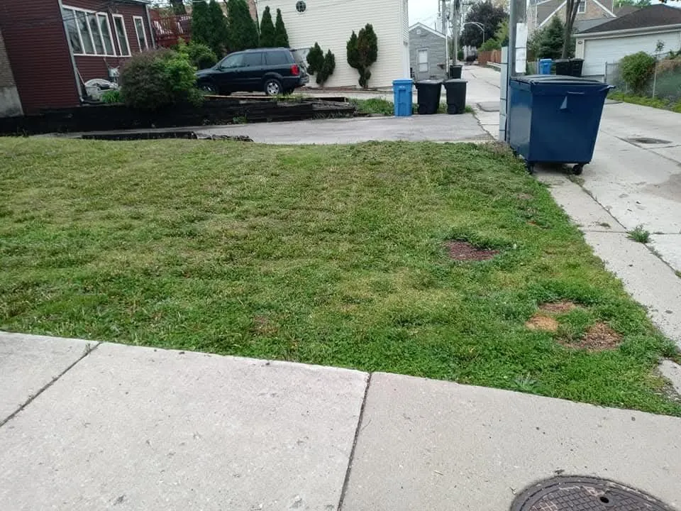 Trusted lawn care service for year-round maintenance in Chicago, IL by Southwest Lawn Care