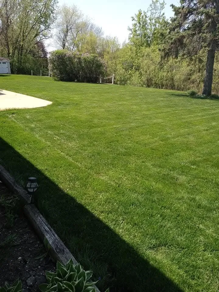 Custom yard cleanup service experts serving Chicago, IL - Southwest Lawn Care