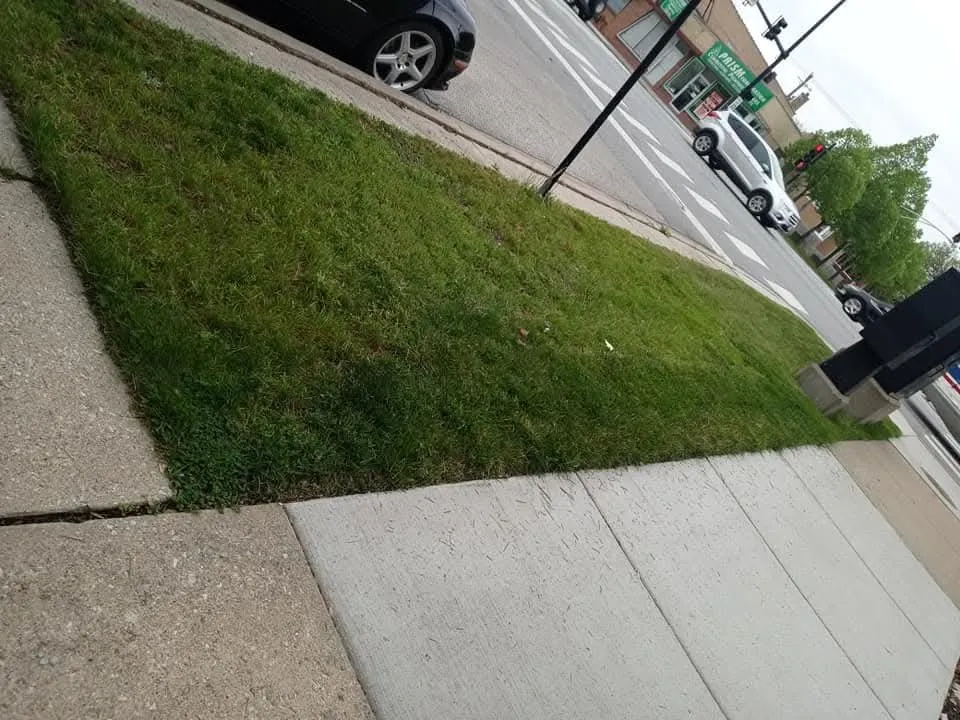 Affordable outdoor landscaping experts serving Chicago, IL - Southwest Lawn Care