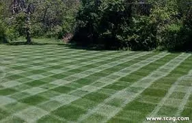 Expert landscape design for year-round maintenance in Pegram, TN by Southwest Lawns