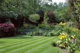 Local yard cleanup service for homes in Pegram, TN by Southwest Lawns