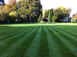 Trusted residential landscaping experts serving Pegram, TN - Southwest Lawns